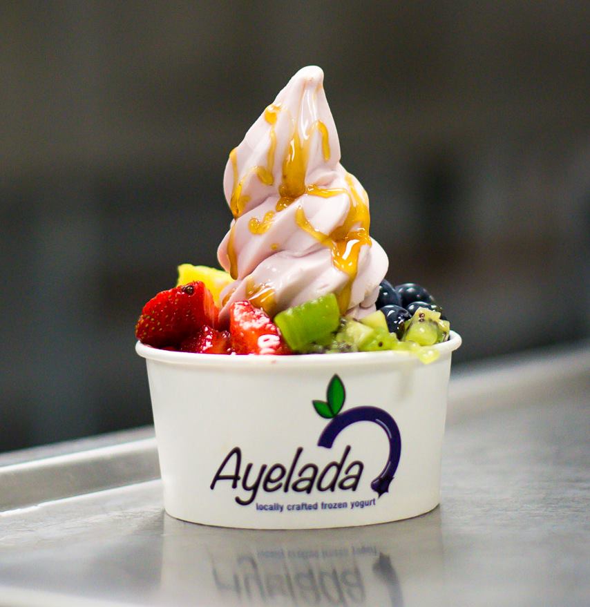 Ayelada Locally Crafted Frozen Yogurt | Kids Out and About Albany